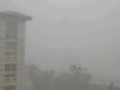 上海暴雨如注，江淮气旋腔势哈浓